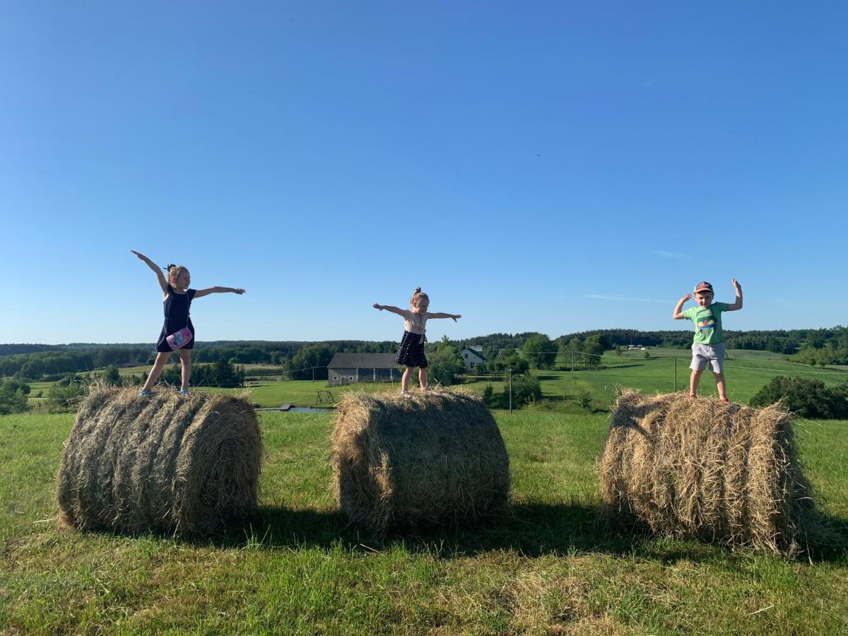 Siedlisko Wilkupie, Dom Na Wzgorzu